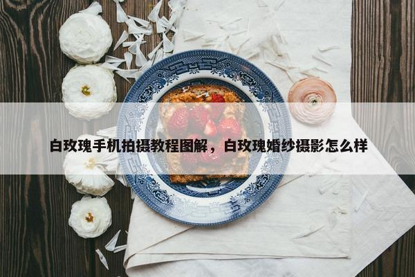 白玫瑰手机拍摄教程图解，白玫瑰婚纱摄影怎么样