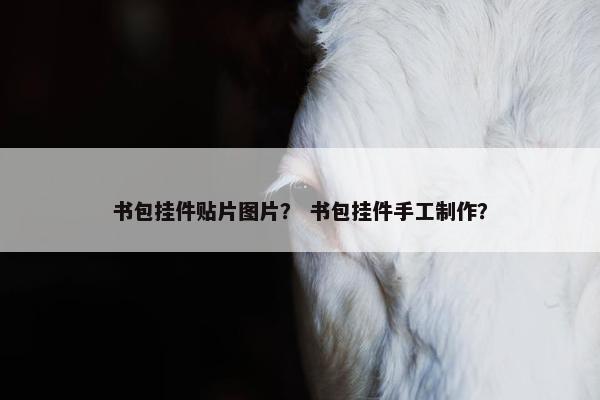 书包挂件贴片图片？ 书包挂件手工制作？
