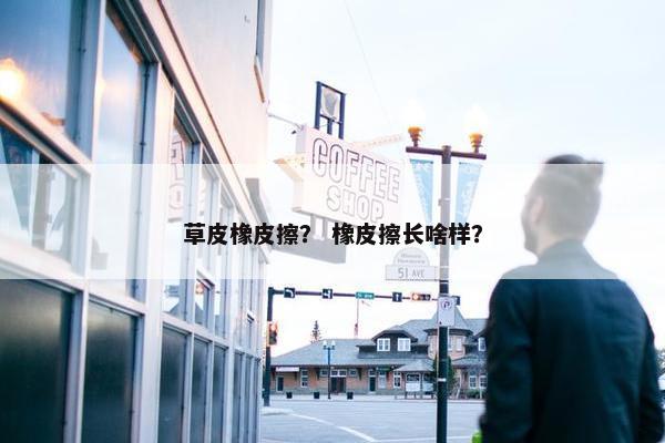草皮橡皮擦？ 橡皮擦长啥样？