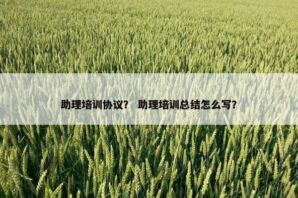 助理培训协议？ 助理培训总结怎么写？