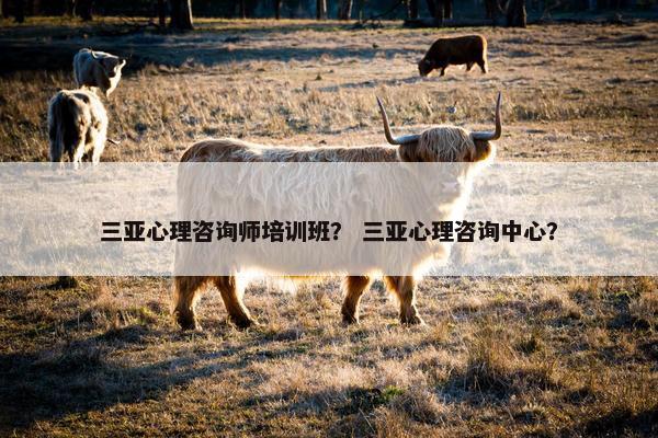 三亚心理咨询师培训班？ 三亚心理咨询中心？