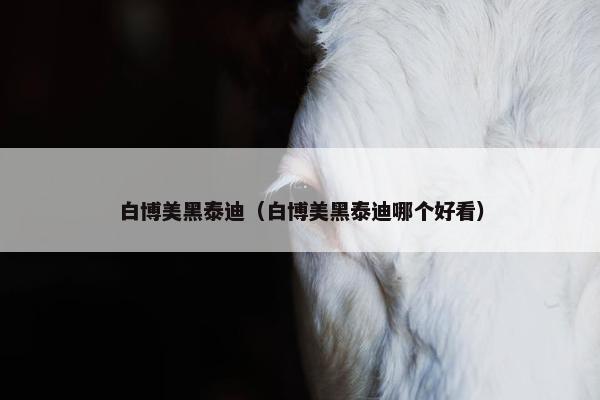 白博美黑泰迪（白博美黑泰迪哪个好看）