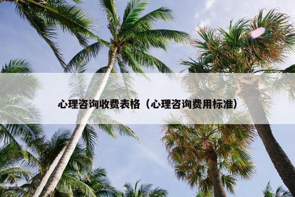 心理咨询收费表格（心理咨询费用标准）