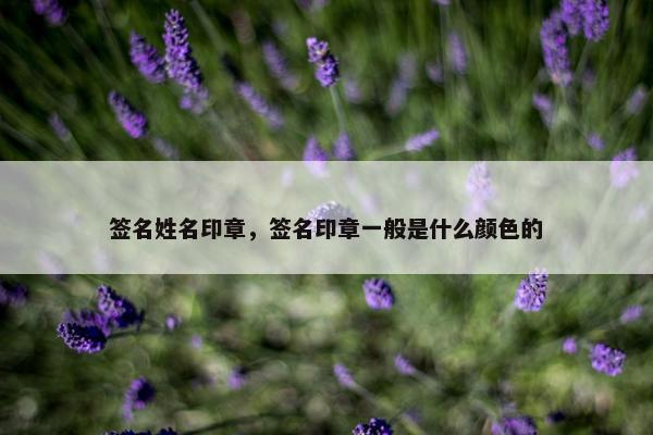 签名姓名印章，签名印章一般是什么颜色的