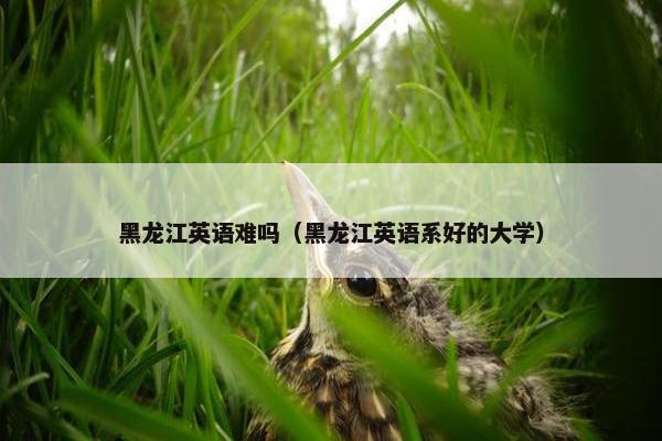 黑龙江英语难吗（黑龙江英语系好的大学）