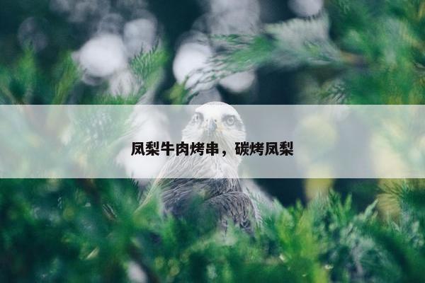 凤梨牛肉烤串，碳烤凤梨