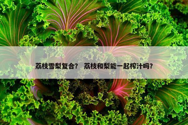荔枝雪梨复合？ 荔枝和梨能一起榨汁吗？