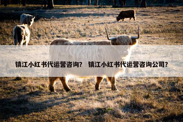 镇江小红书代运营咨询？ 镇江小红书代运营咨询公司？