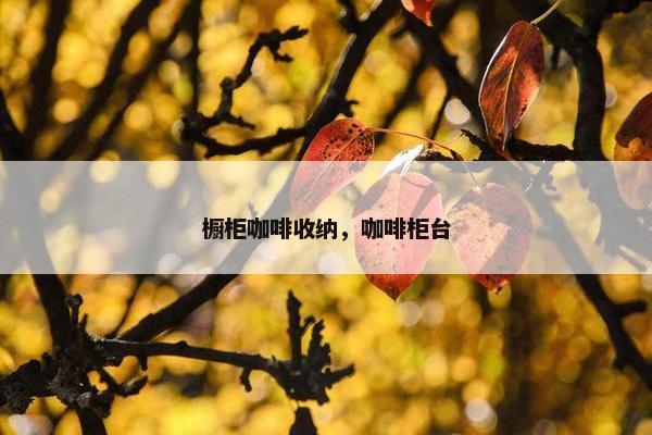 橱柜咖啡收纳，咖啡柜台