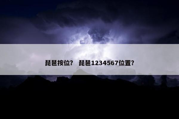 琵琶按位？ 琵琶1234567位置？