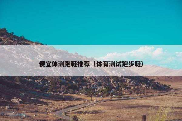 便宜体测跑鞋推荐（体育测试跑步鞋）