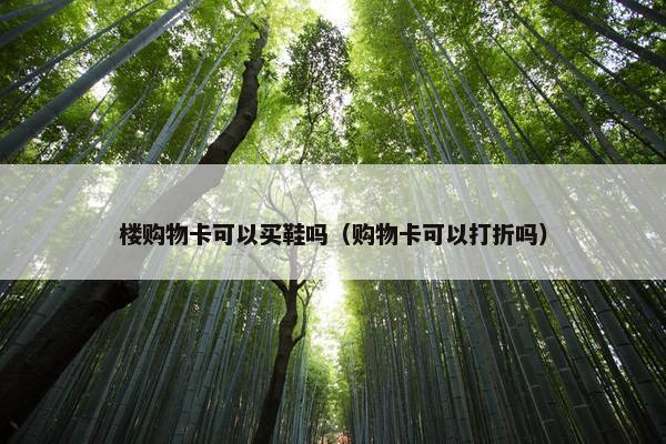 楼购物卡可以买鞋吗（购物卡可以打折吗）