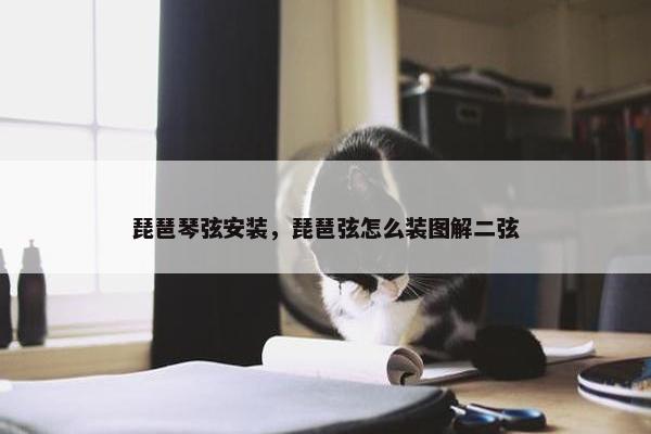 琵琶琴弦安装，琵琶弦怎么装图解二弦