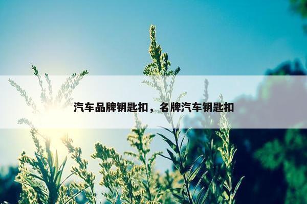 汽车品牌钥匙扣，名牌汽车钥匙扣