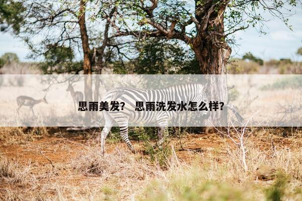思雨美发？ 思雨洗发水怎么样？