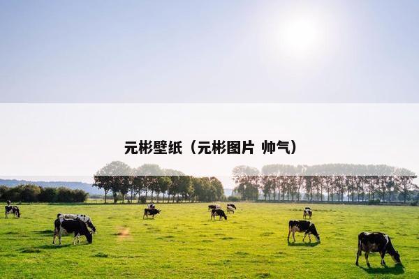 元彬壁纸（元彬图片 帅气）
