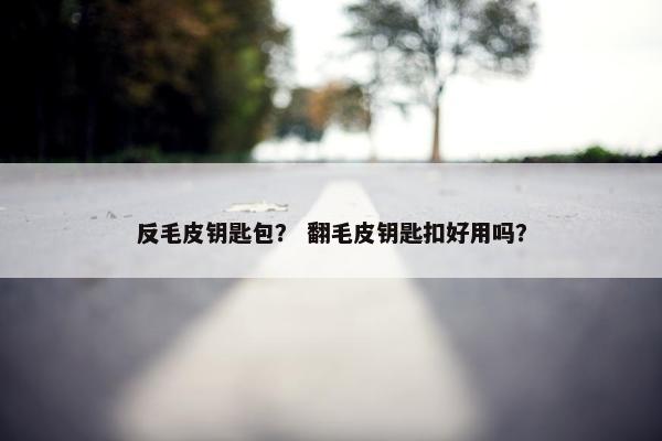 反毛皮钥匙包？ 翻毛皮钥匙扣好用吗？