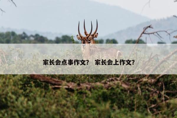 家长会点事作文？ 家长会上作文？