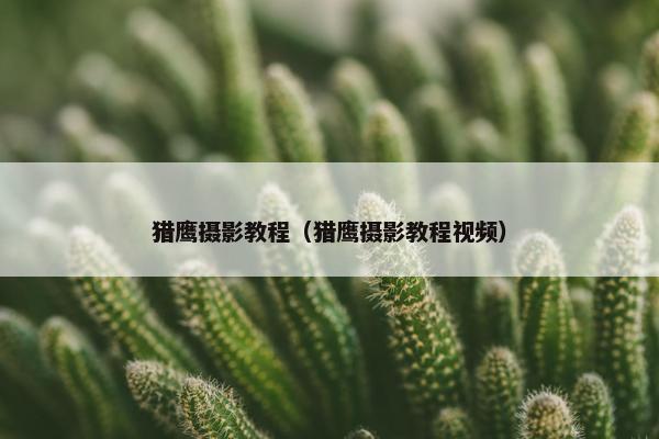 猎鹰摄影教程（猎鹰摄影教程视频）
