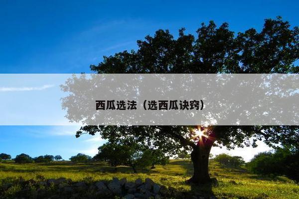 西瓜选法（选西瓜诀窍）