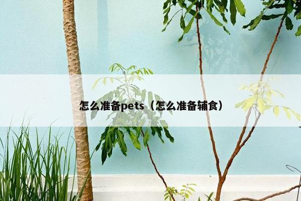 怎么准备pets（怎么准备辅食）