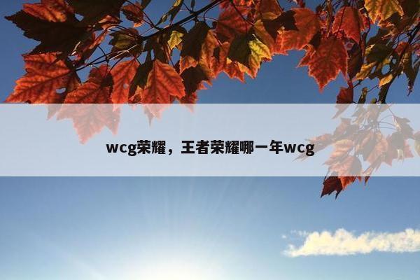 wcg荣耀，王者荣耀哪一年wcg