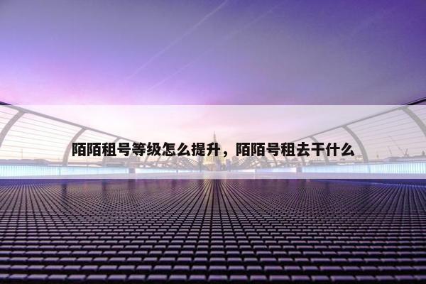 陌陌租号等级怎么提升，陌陌号租去干什么