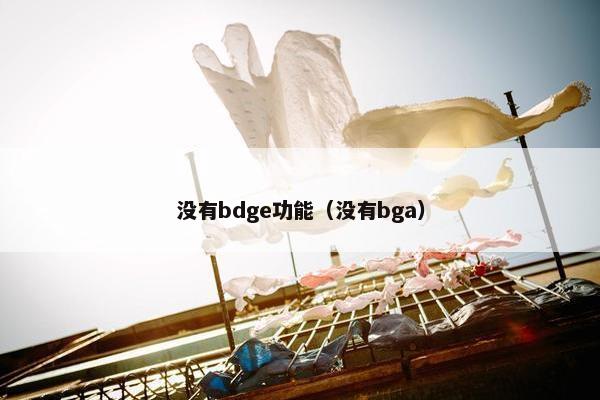 没有bdge功能（没有bga）