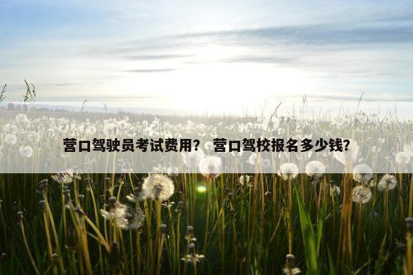 营口驾驶员考试费用？ 营口驾校报名多少钱？