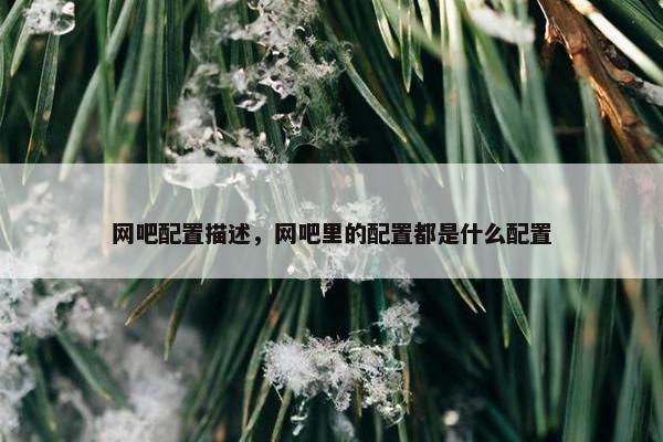 网吧配置描述，网吧里的配置都是什么配置