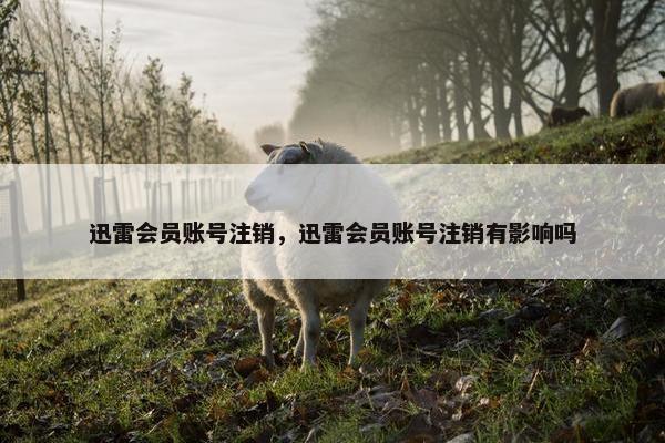 迅雷会员账号注销，迅雷会员账号注销有影响吗