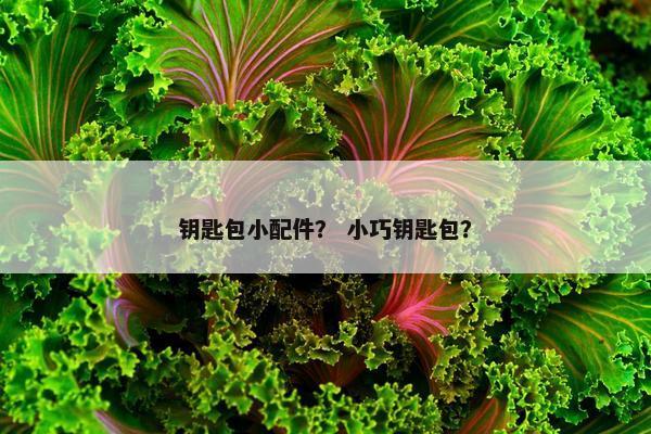 钥匙包小配件？ 小巧钥匙包？