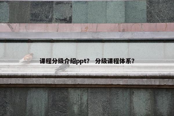 课程分级介绍ppt？ 分级课程体系？