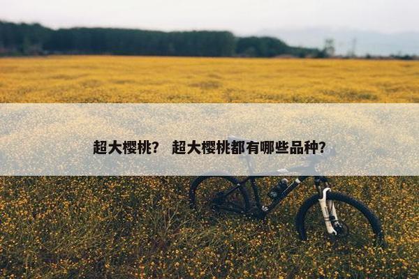 超大樱桃？ 超大樱桃都有哪些品种？