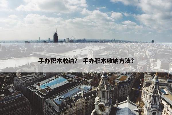 手办积木收纳？ 手办积木收纳方法？