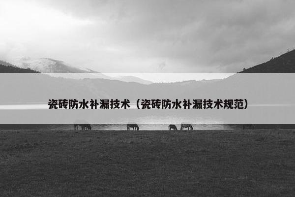 瓷砖防水补漏技术（瓷砖防水补漏技术规范）