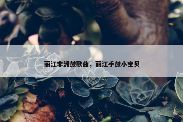 丽江非洲鼓歌曲，丽江手鼓小宝贝