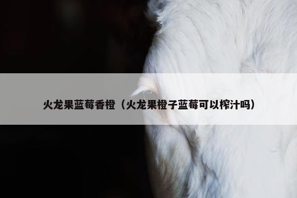 火龙果蓝莓香橙（火龙果橙子蓝莓可以榨汁吗）