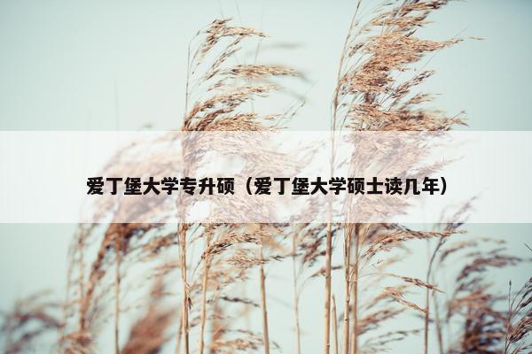 爱丁堡大学专升硕（爱丁堡大学硕士读几年）