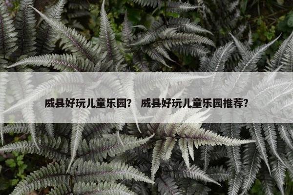 威县好玩儿童乐园？ 威县好玩儿童乐园推荐？