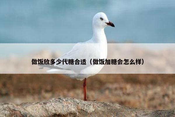做饭放多少代糖合适（做饭加糖会怎么样）