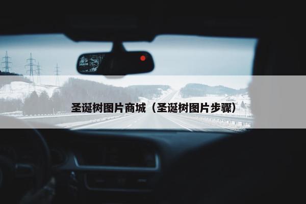 圣诞树图片商城（圣诞树图片步骤）