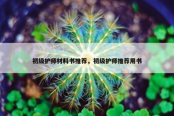 初级护师材料书推荐，初级护师推荐用书