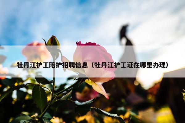 牡丹江护工陪护招聘信息（牡丹江护工证在哪里办理）