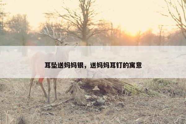 耳坠送妈妈银，送妈妈耳钉的寓意