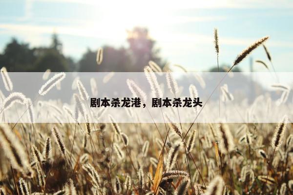 剧本杀龙港，剧本杀龙头