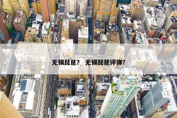 无锡琵琶？ 无锡琵琶评弹？