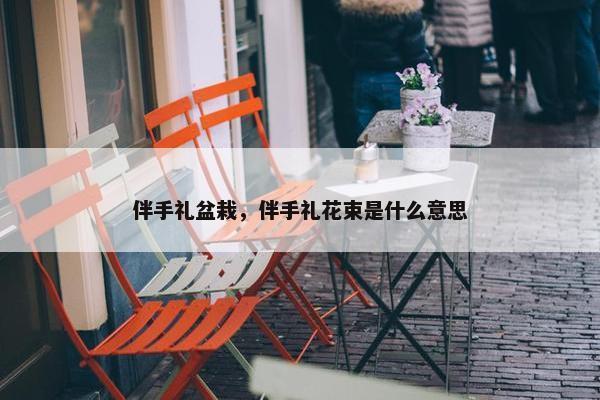 伴手礼盆栽，伴手礼花束是什么意思