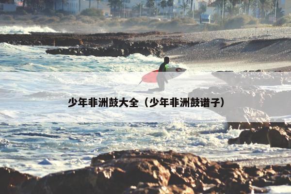 少年非洲鼓大全（少年非洲鼓谱子）