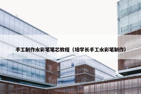 手工制作水彩笔笔芯教程（培学长手工水彩笔制作）